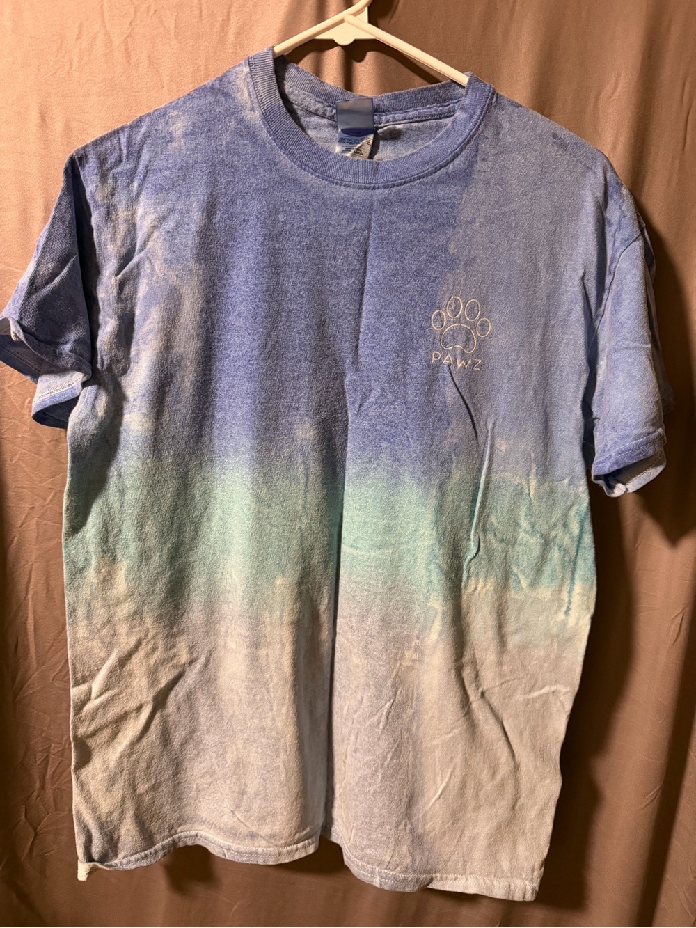 PAWZ Women’s Ombre Crewneck T-Shirt in Blue, Mint, and Cream